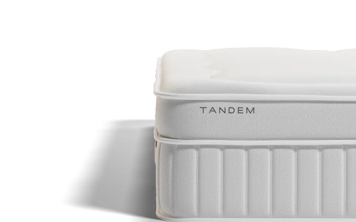 saltea Gravity — 1