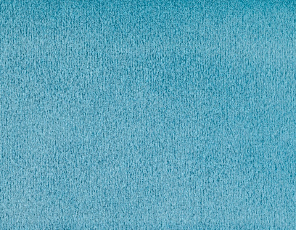 Mango 1316